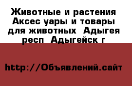 Животные и растения Аксесcуары и товары для животных. Адыгея респ.,Адыгейск г.